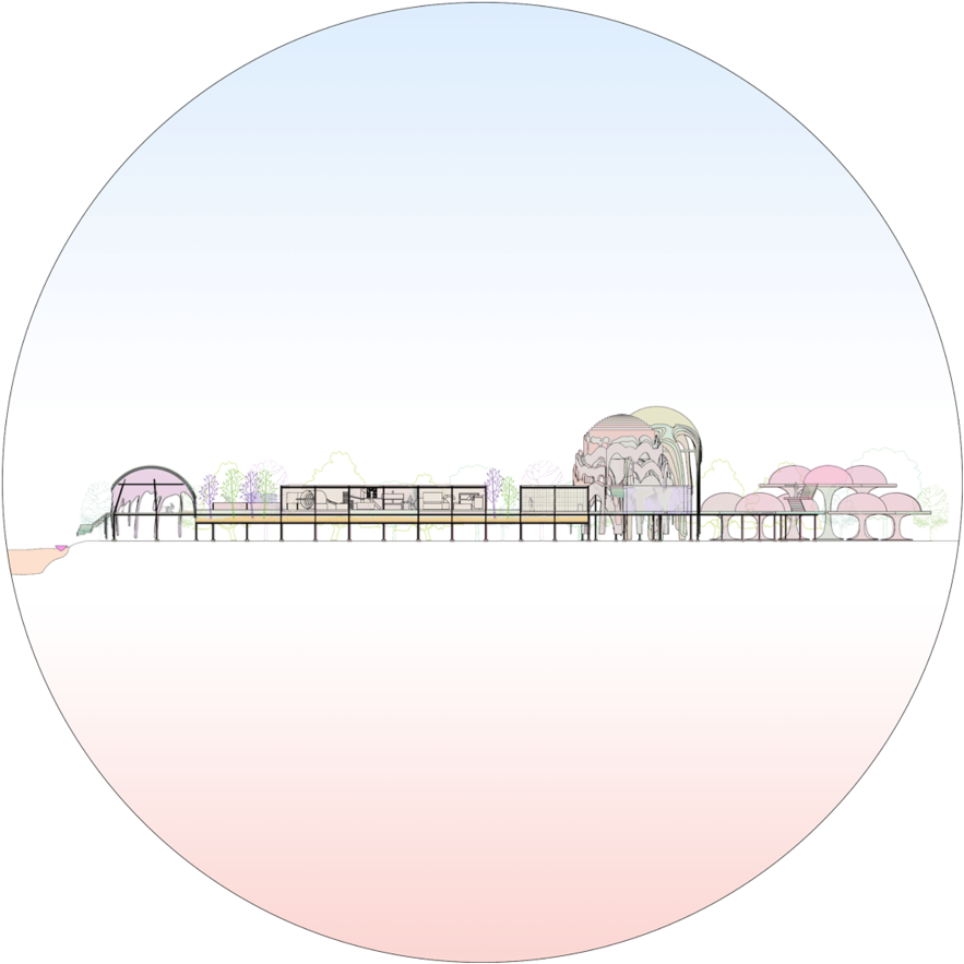 Psychoactive Section View - Flores Fuxico (1000x1000), Png Download