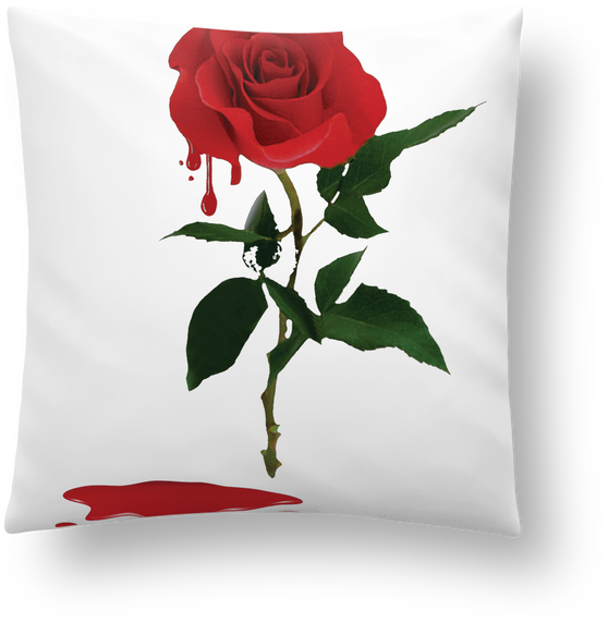 Garden Roses (690x850), Png Download