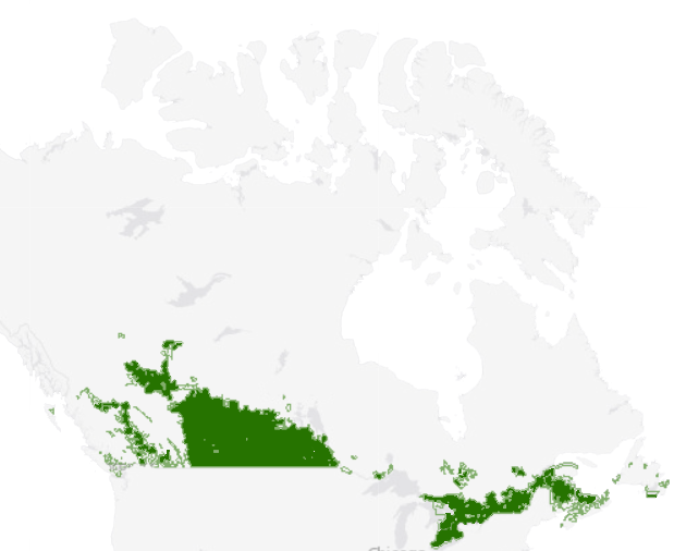 Agricultural Extent Map Of Canada - Nuugaatsiaq Map (619x506), Png Download
