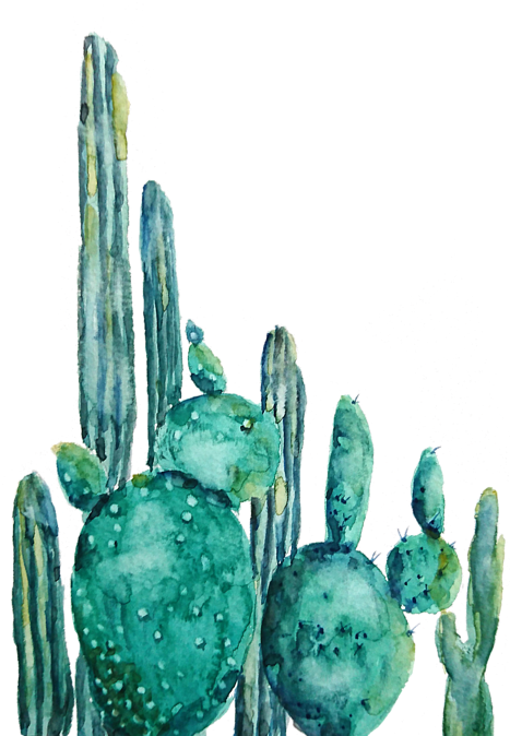 Bleed Area May Not Be Visible - Cactus Watercolor (466x700), Png Download