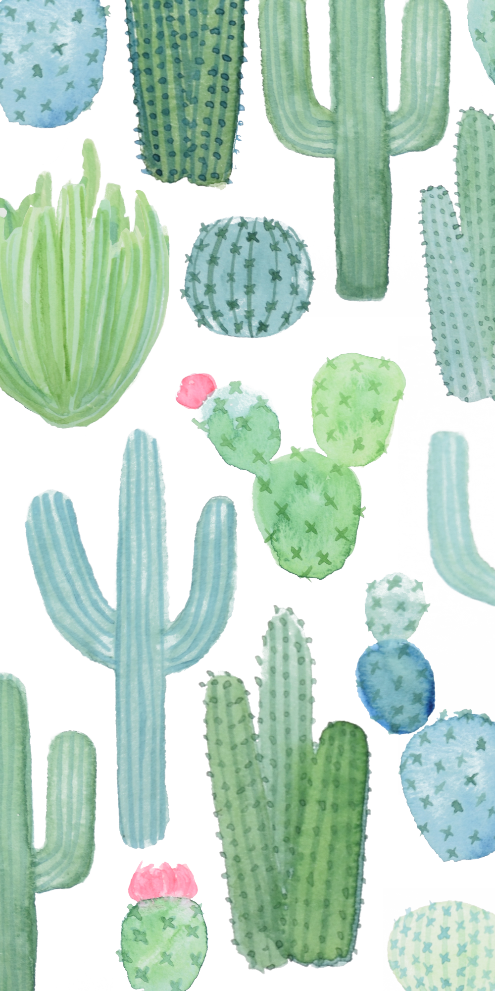 #casetify #iphone #art #design #nature # - Eastern Prickly Pear (1000x2000), Png Download