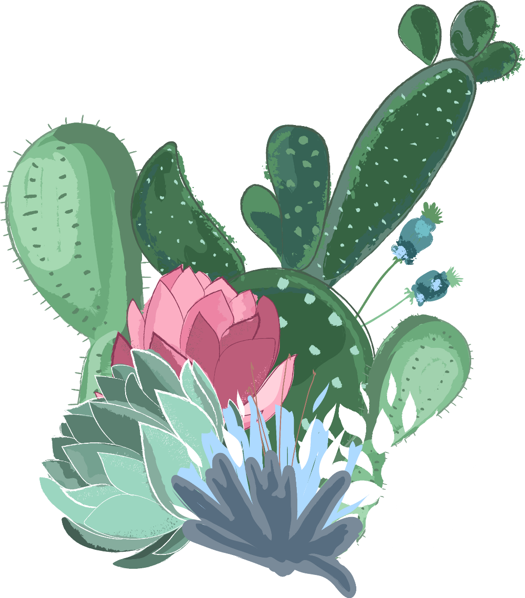Cactus Sticker - Flower (1024x1167), Png Download
