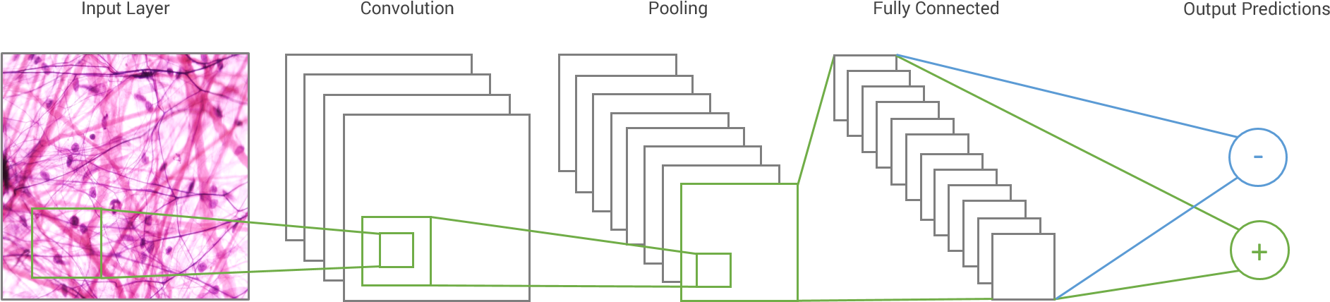 Accurate - Architecture (1937x441), Png Download