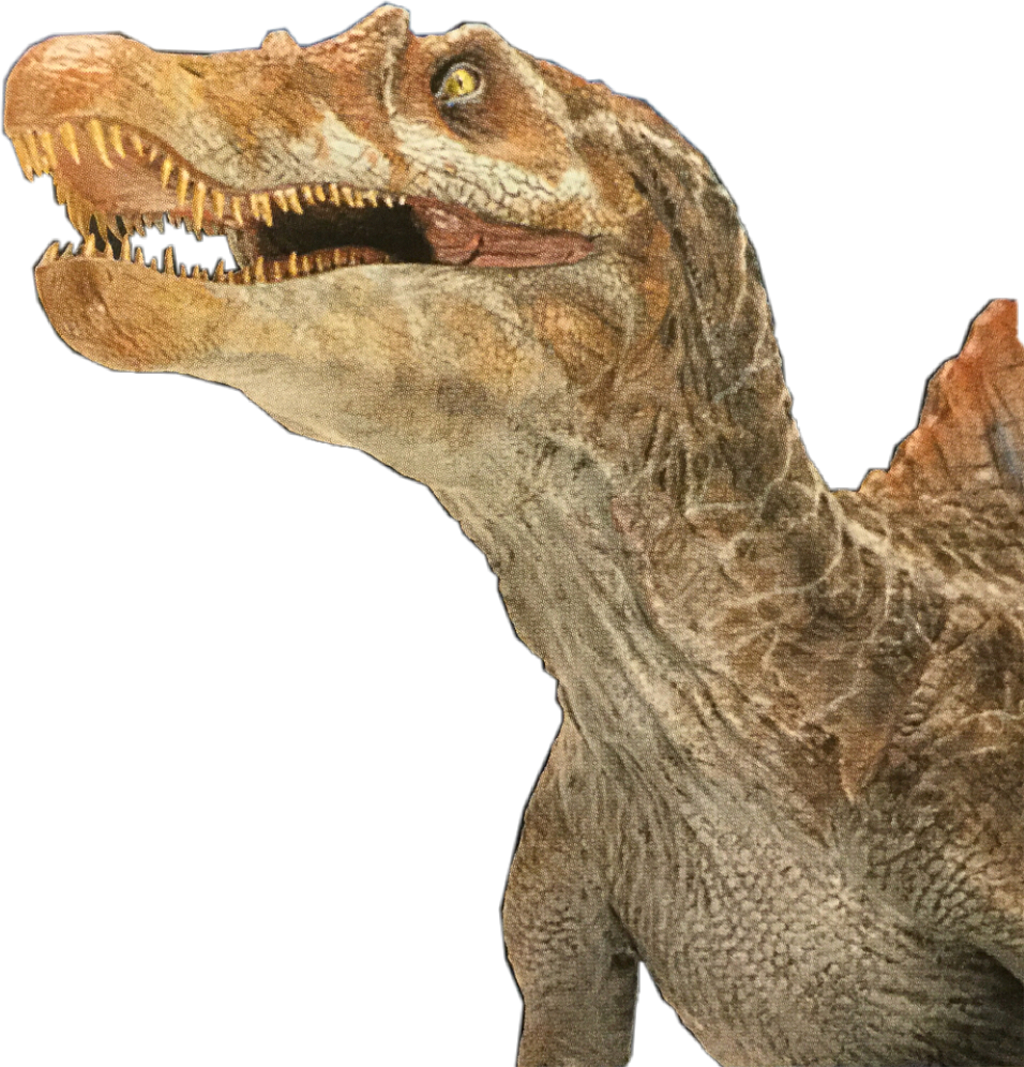 Spinosaurus Sticker - Velociraptor (1024x1067), Png Download