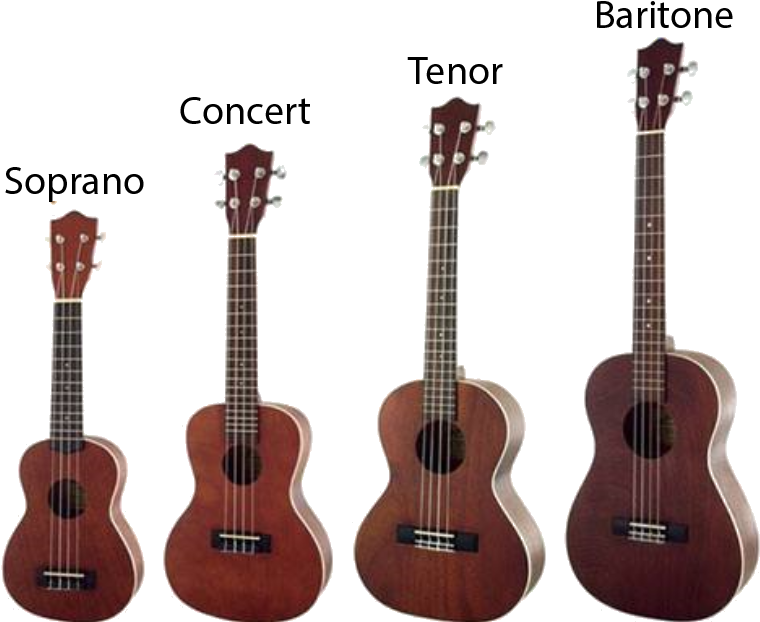 What Are The Different Types Of Ukulele - Soprano Vs Concert Ukulele (809x637), Png Download