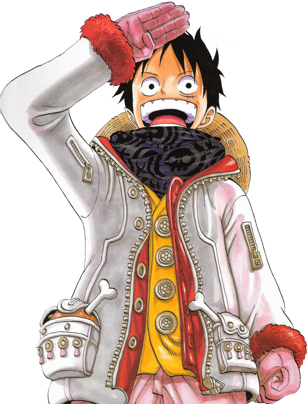 Luffy Luffy Scans Official Art - Luffy Eiichiro Oda Illustration (1024x1535), Png Download