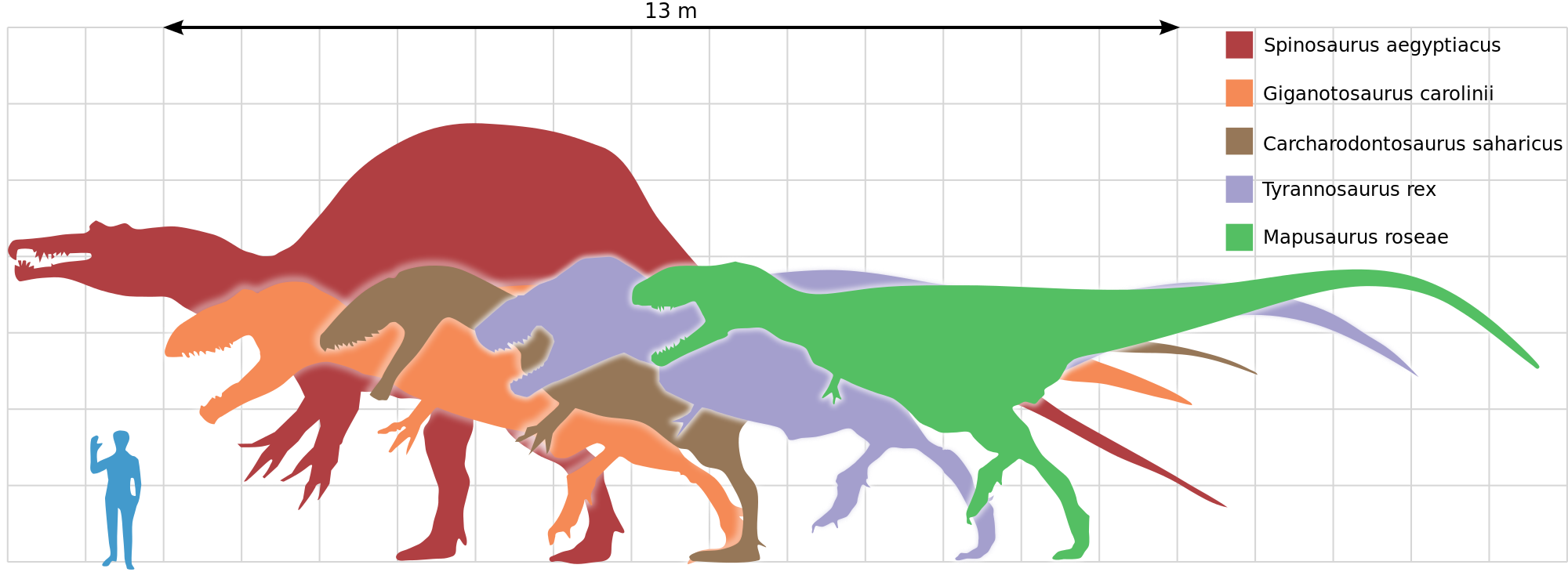 Kem Kem Morocco Spinosaurus Size Next To Human - Carcharodontosaurus Vs T Rex Size (2000x730), Png Download