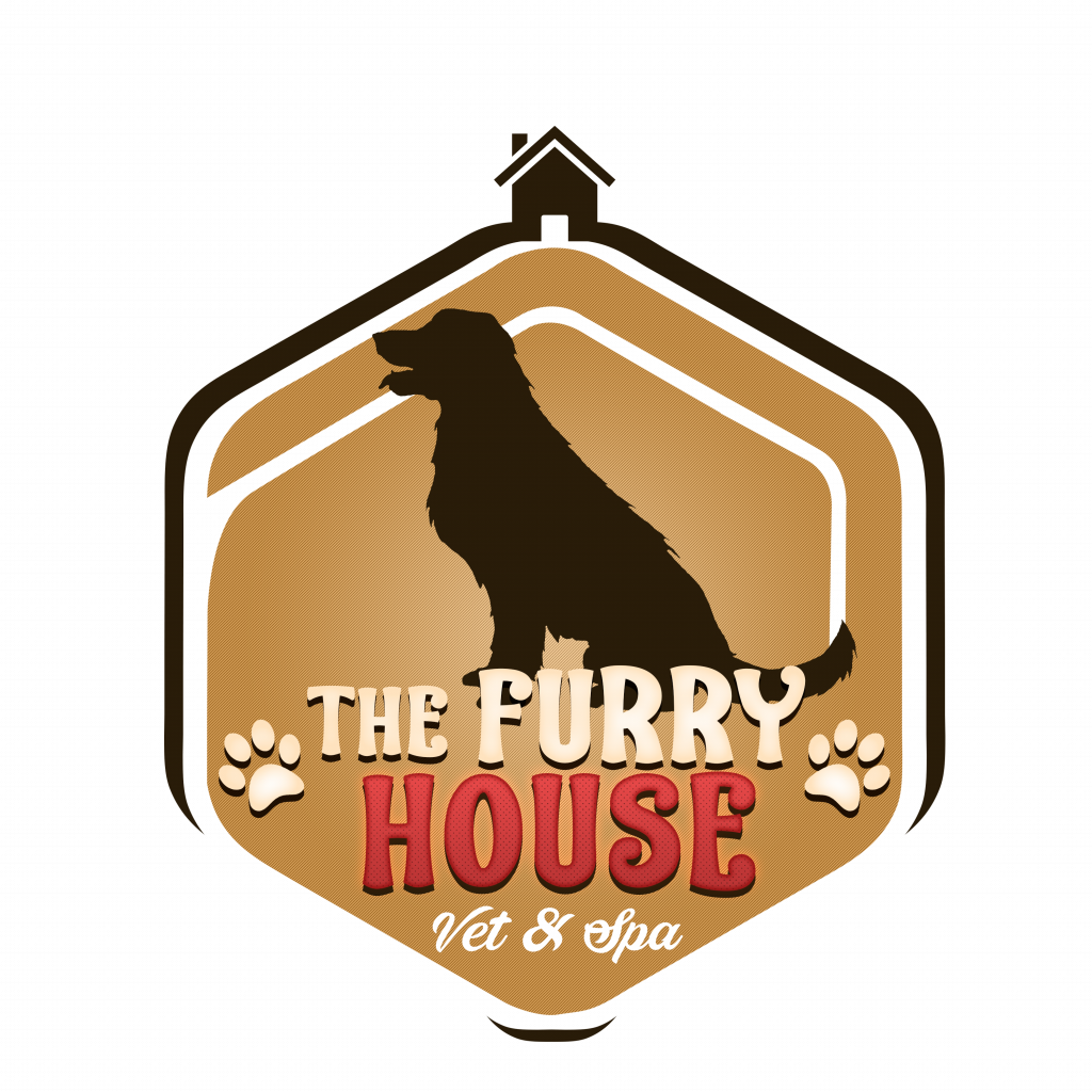 Se Busca Peluquero Canino, Estilista, Groomer - House (1024x1024), Png Download