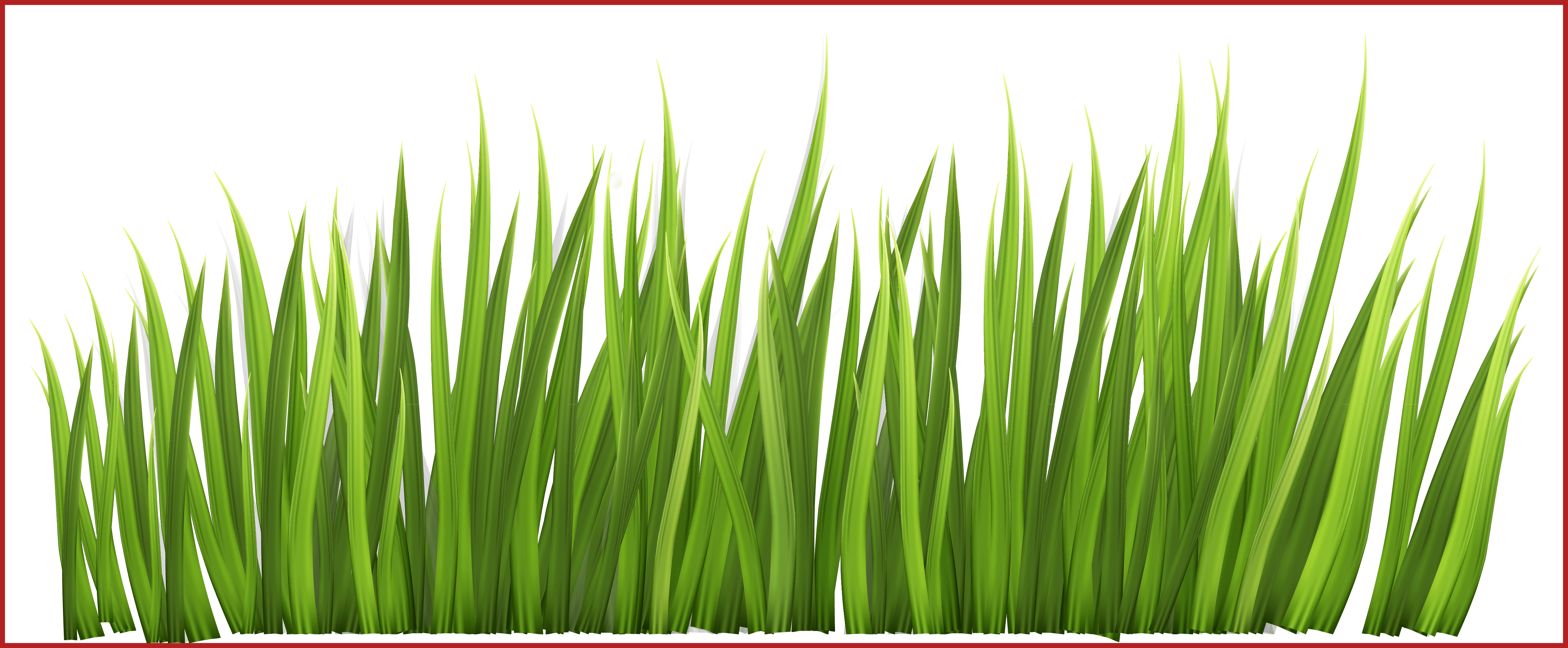 Stunning Fence With Grass And Flowers Png Clipar Image - Grass Clipart (4794x1982), Png Download