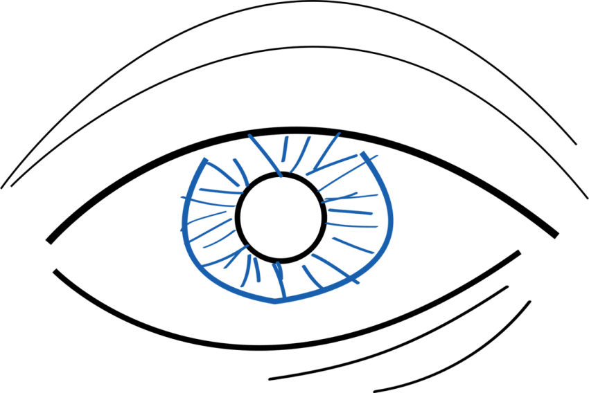 Free Png Download Simple Eye Drawing Png Images Background - Simple Eyes Drawing Color (850x568), Png Download