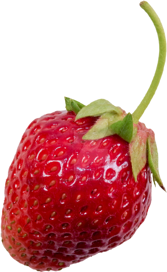 Strawberry Png Pic - Strawberry (774x1033), Png Download