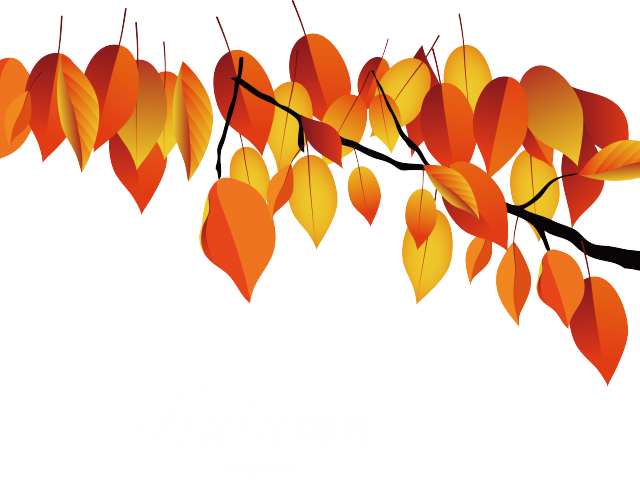 Autumn Leaves Clipart Dead Leaf - Maple (640x480), Png Download