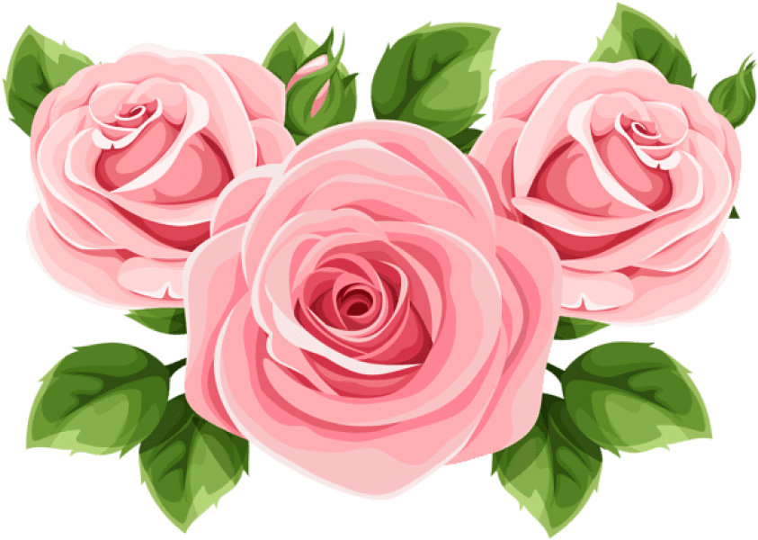 Free Png Download Rose Decoration Clipart Png Photo - Garden Roses (850x603), Png Download