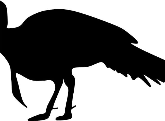 Turkey Clipart Silhouette - Wild Turkey Clipart Black And White (640x480), Png Download