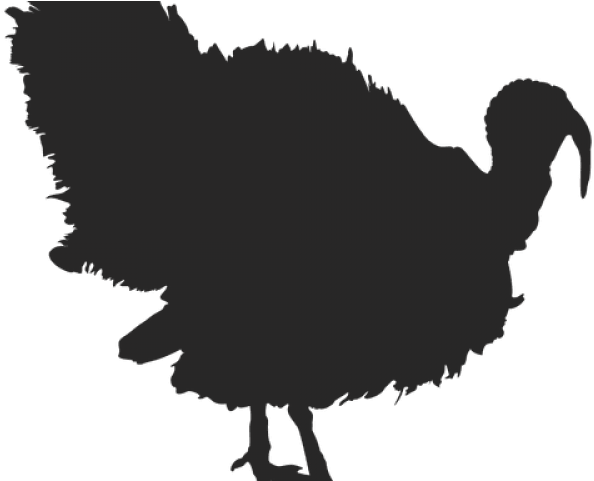 Turkey Bird Clipart Traceable - Silhouette Turkey Clipart Black And White (640x480), Png Download