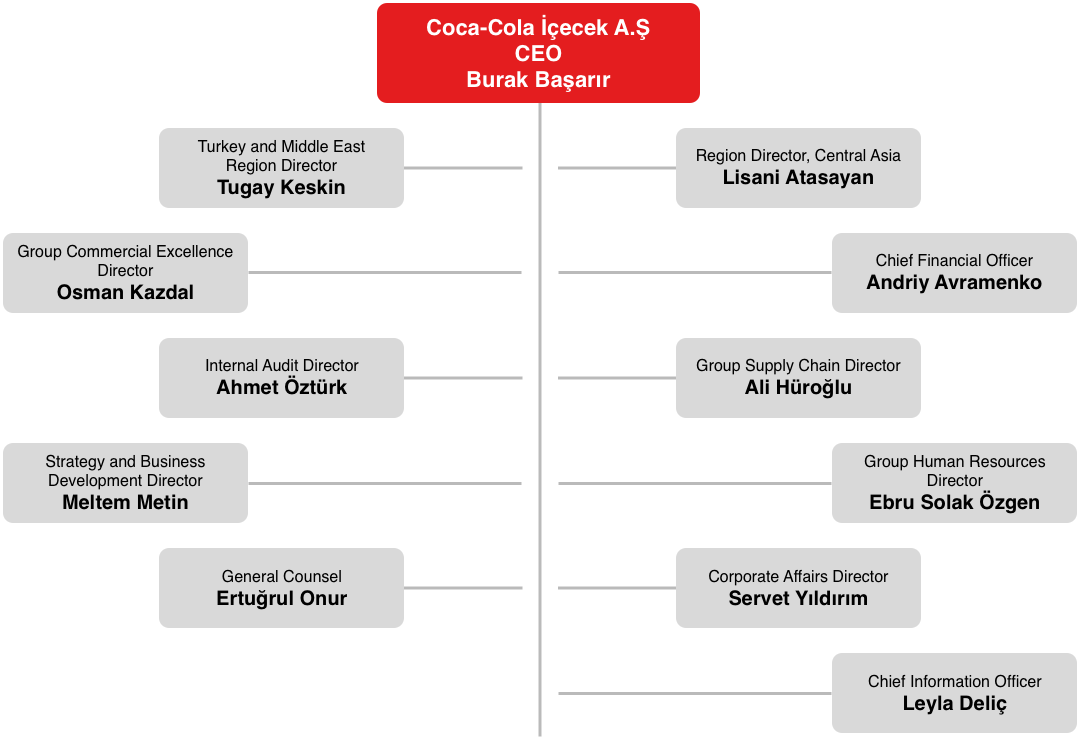 Organizational Chart - Coca Cola Organizational Structure (1080x738), Png Download