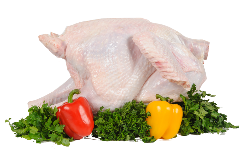 Turkey Food Png, Download Png Image With Transparent - Turkey Meat (800x532), Png Download