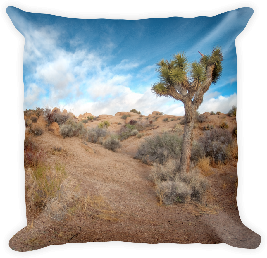 Image Of Joshua Tree, Ca - Cushion (1000x1000), Png Download