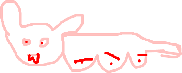 Slowbro (1020x608), Png Download