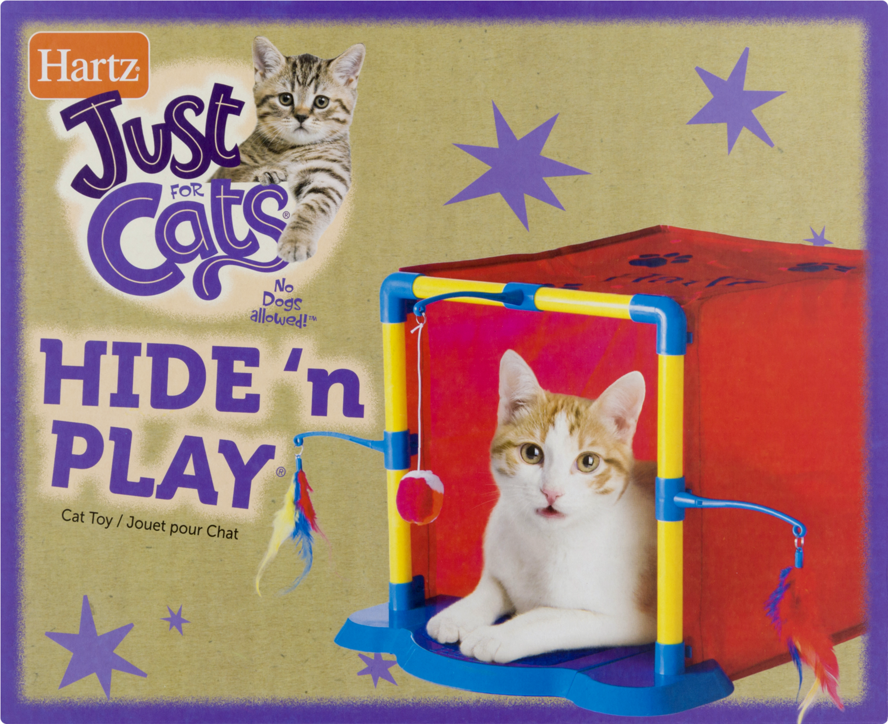 Domestic Short-haired Cat (1800x1800), Png Download