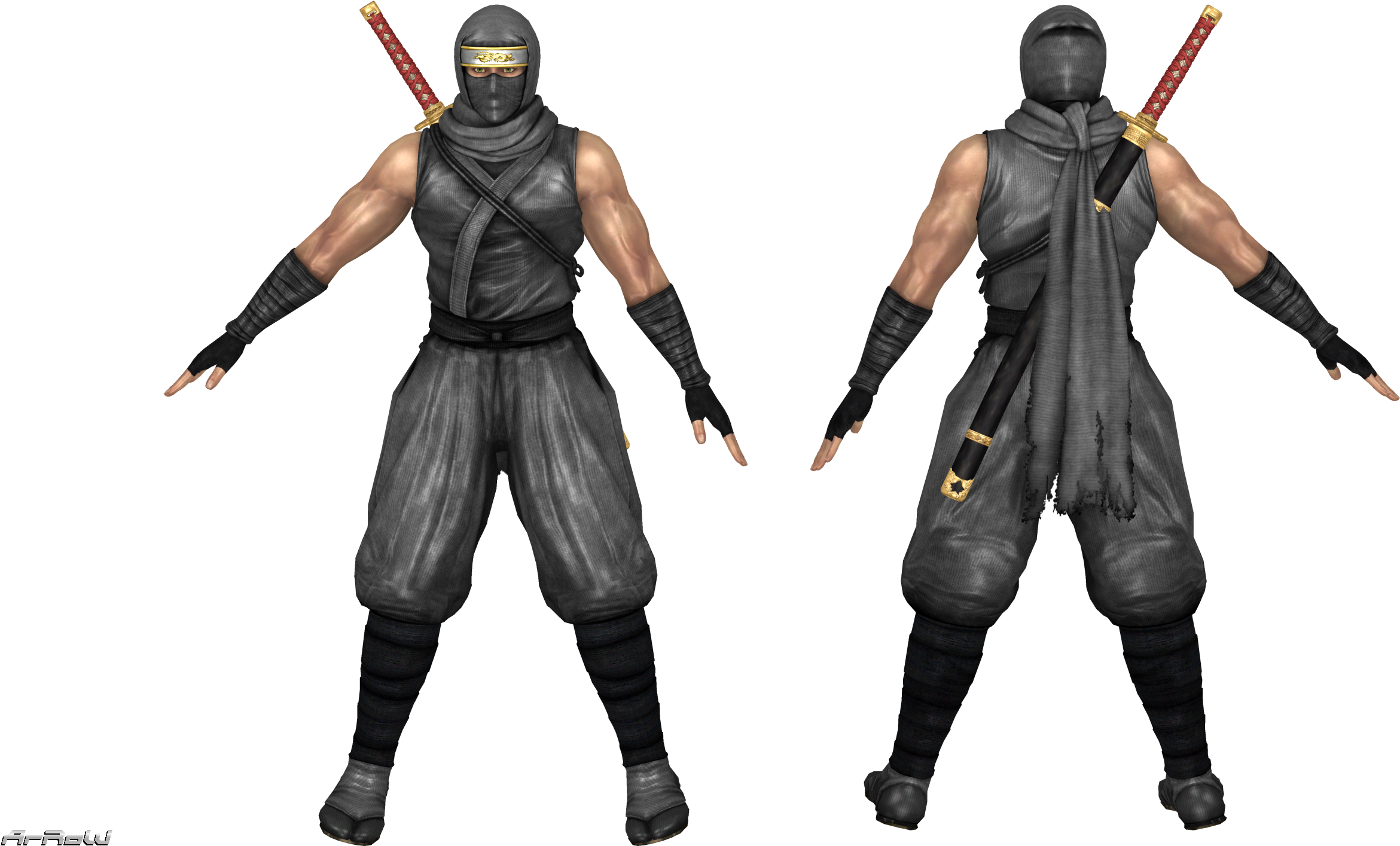 Ryu Hayabusa, Doa, Ninjas, Pirates, Ninja - Ryu Hayabusa 3d Model (2500x1453), Png Download