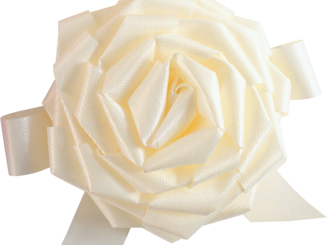 White Rose Clipart Png Format - Portable Network Graphics (640x480), Png Download
