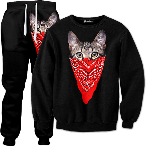 Download Gangsta Cat Tracksuit - Track Suit PNG Image with No