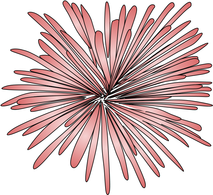 Fireworks, Burst, Style 2, Pink, Red, Png - Illustration (816x1056), Png Download