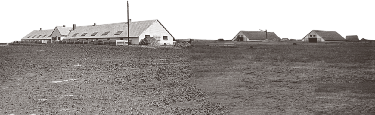 New Collective Or State Farm Buildings In Hungary Around - Barn (1246x384), Png Download
