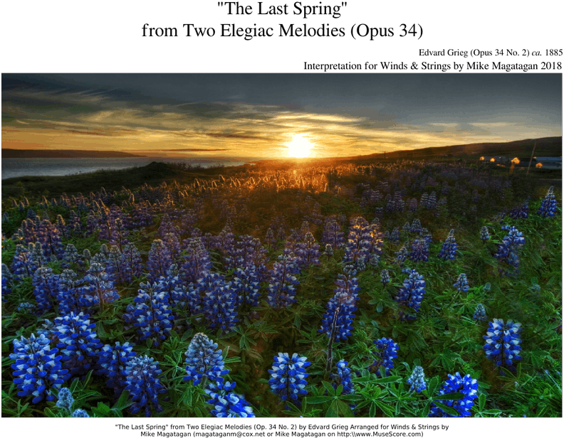 "the Last Spring" From Two Elegiac Melodies For Winds - Field Of Flowers (850x1100), Png Download