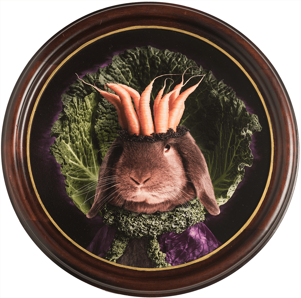 Royal Lentil Of Lettuce Land In Round Wooden Frame - Brown Hare (1213x1200), Png Download