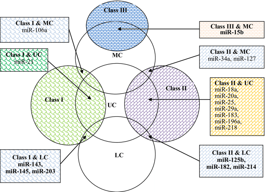 Relationship Between Frequency Of Mirna Report And - Circle (850x613), Png Download