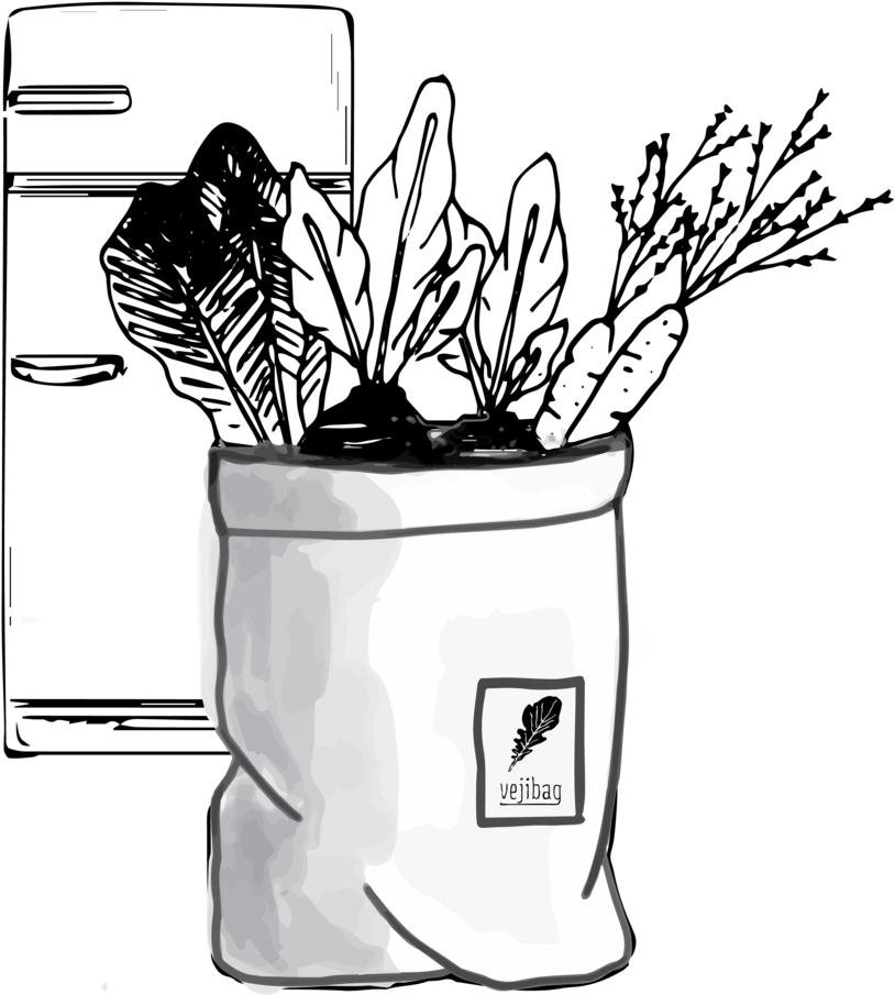 Store And Enjoy - Flowerpot (1000x1000), Png Download