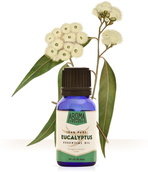 Essential Oil Aroma Foundry - Cosmetics (559x600), Png Download