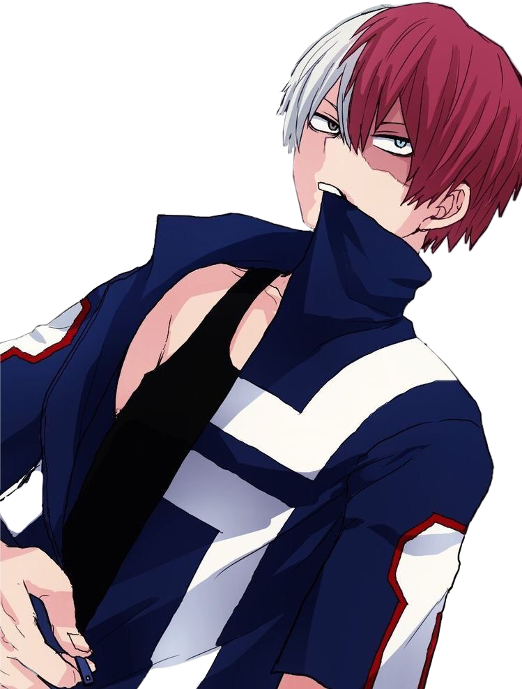 Report Abuse - Todoroki Shouto (749x988), Png Download