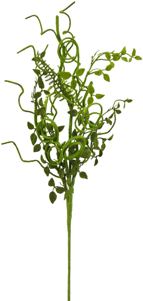 28" Moss Eucalyptus Curly Twig Spray - Grass (500x1048), Png Download