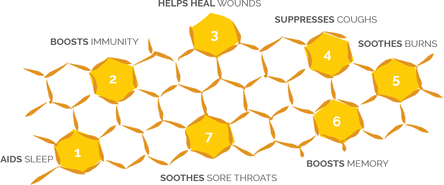 Honey Health Benefits Infographic (897x375), Png Download
