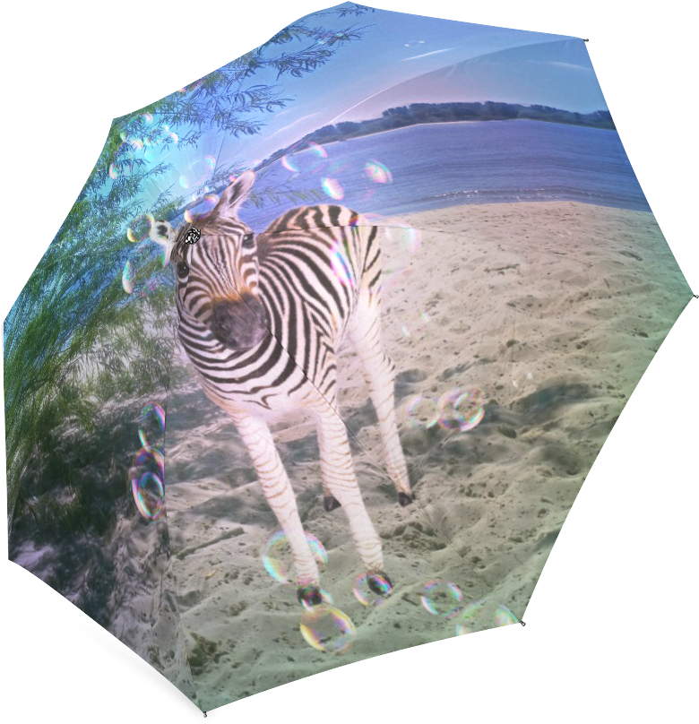 Zebra (1000x1000), Png Download