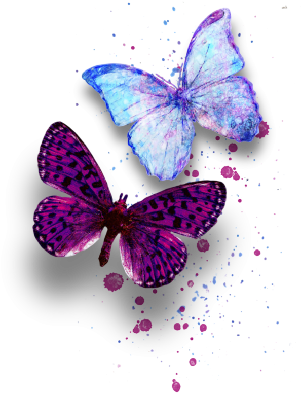 Image Du Blog Zezete2 - Butterfly (600x788), Png Download