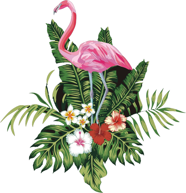 Pink Flamingo Bird Free Transparent Image Hd Clipart - Flamingo Png (999x1024), Png Download