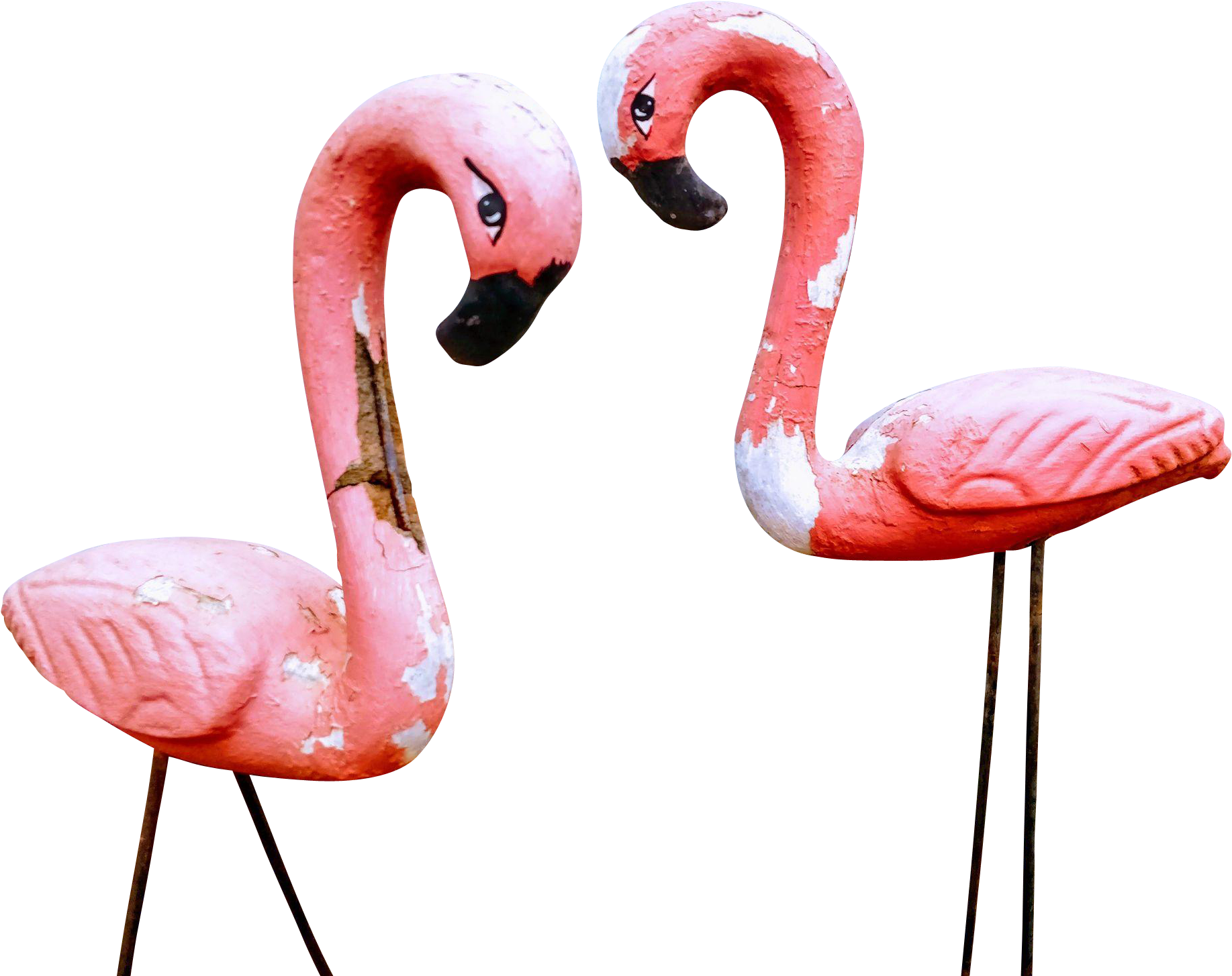 1834 X 1834 1 - Greater Flamingo (1834x1834), Png Download
