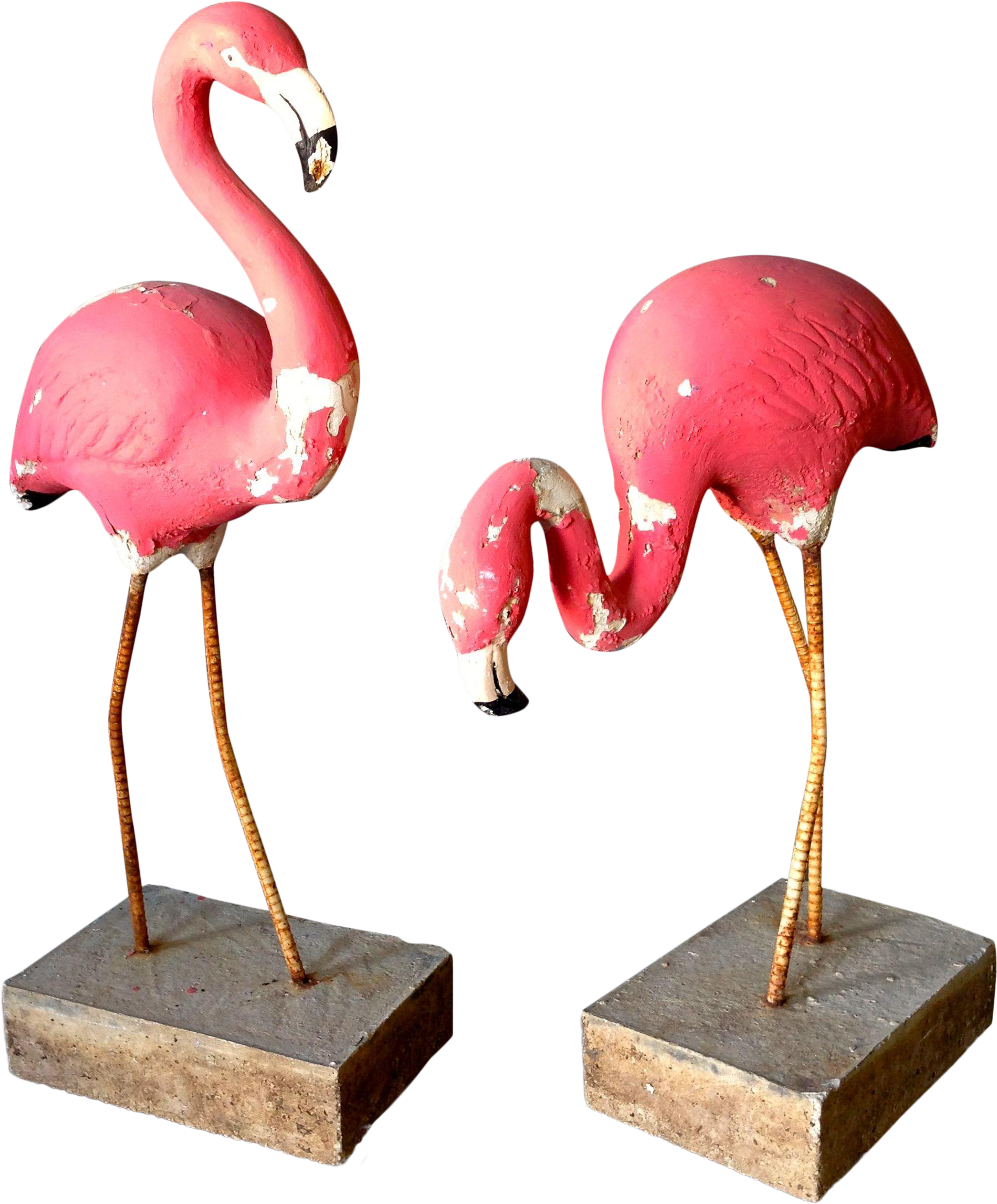 Fantastic Pair Of 1950's Vintage Pink Flamingos - Greater Flamingo (2448x3264), Png Download