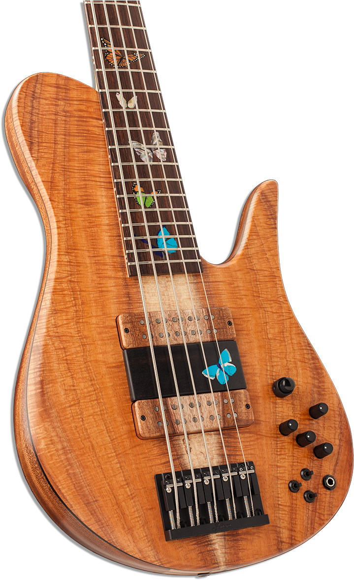 Bass Guitar (1000x1250), Png Download