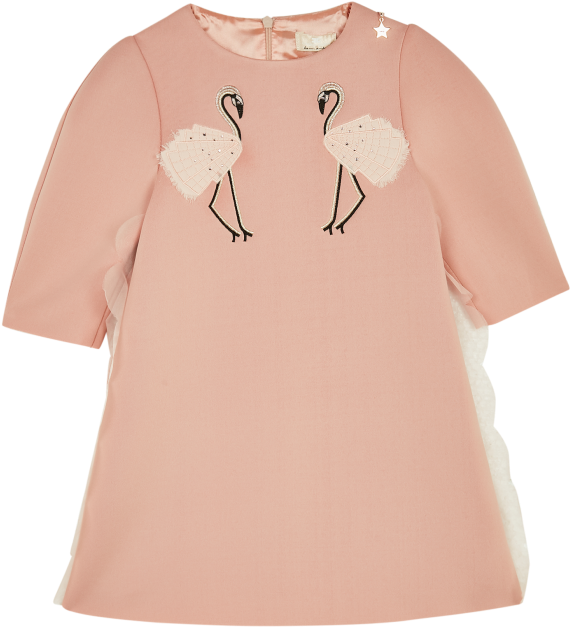 Pink Flamingo Dress - Greater Flamingo (700x700), Png Download