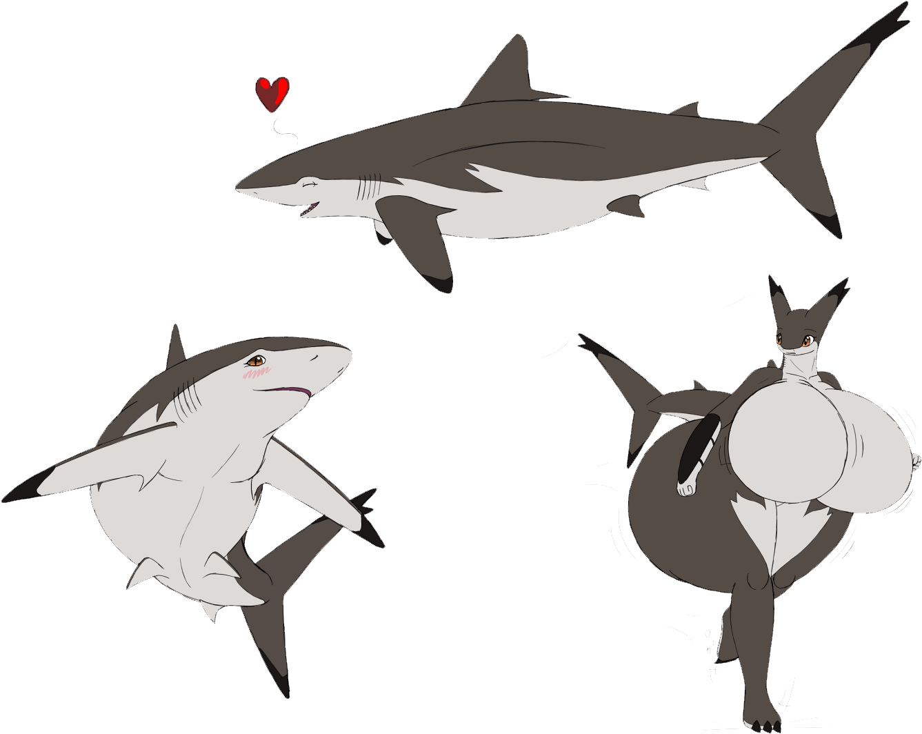 Clipart Freeuse Library Great White Chondrichthyes - Hd Shark (1600x1104), Png Download