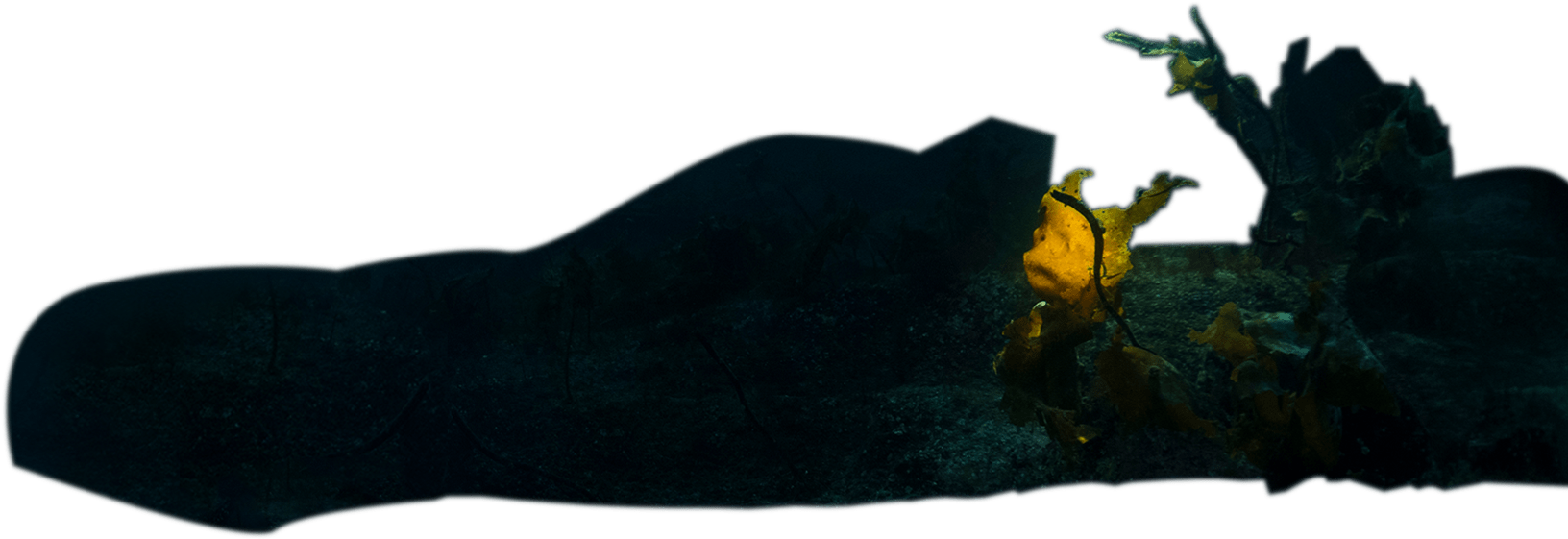 N O R W A Y N A S A O F T H E S E A - Silhouette (2000x1333), Png Download