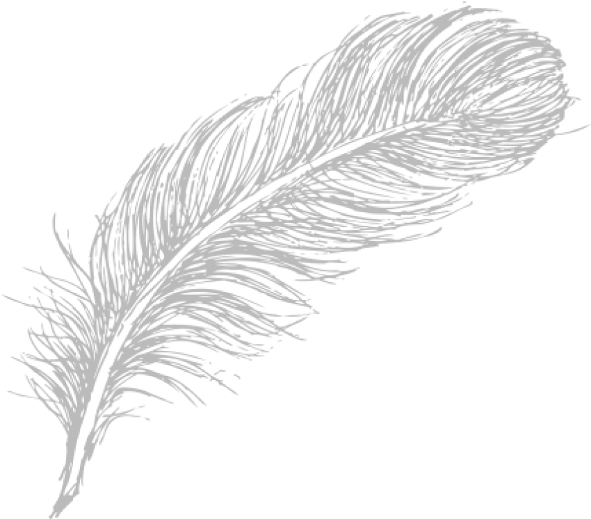 Free Png Download Feather Drawing Png Images Background - Line Drawing Feathers Png (850x747), Png Download