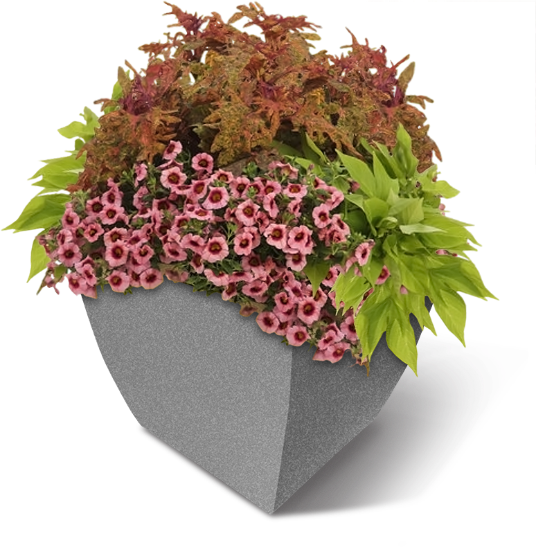 Square Commercial Planter W-flowers - Flower Planter Png (800x800), Png Download