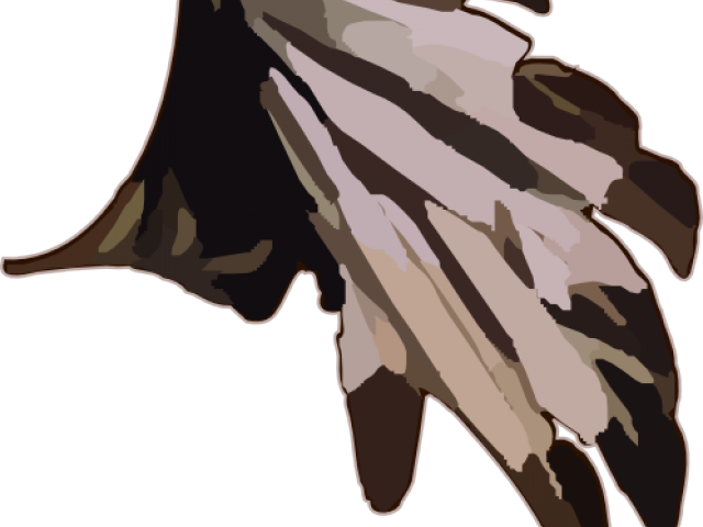 Indian Feathers Cliparts - Indian Feathers (640x480), Png Download