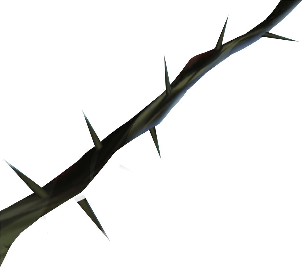 Thorns, Spines, And Prickles (1050x915), Png Download